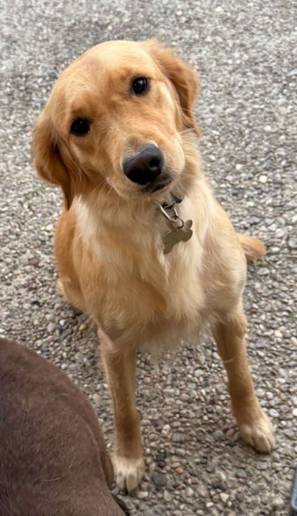 Vanille Du Val D'Isao